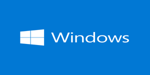 MS Windows